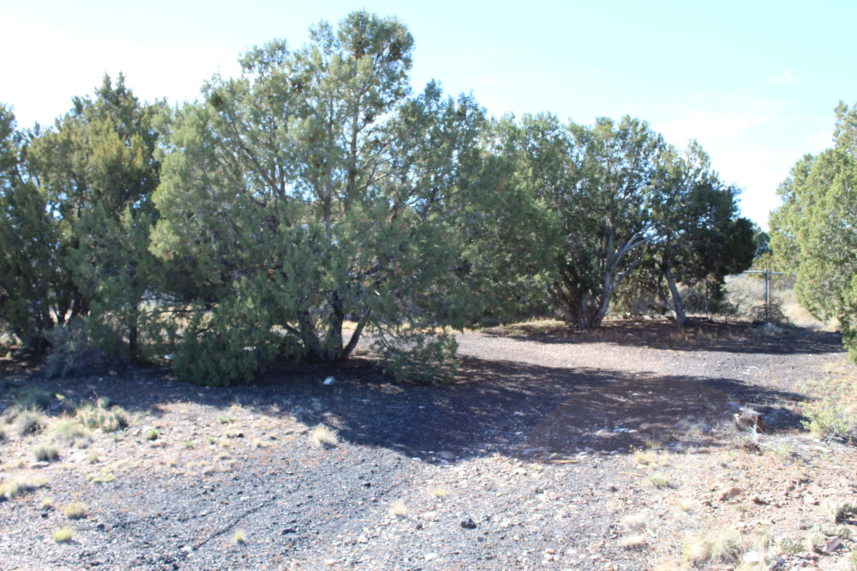 17 Short Lane Concho, AZ 85924 - Photo 26 of 29