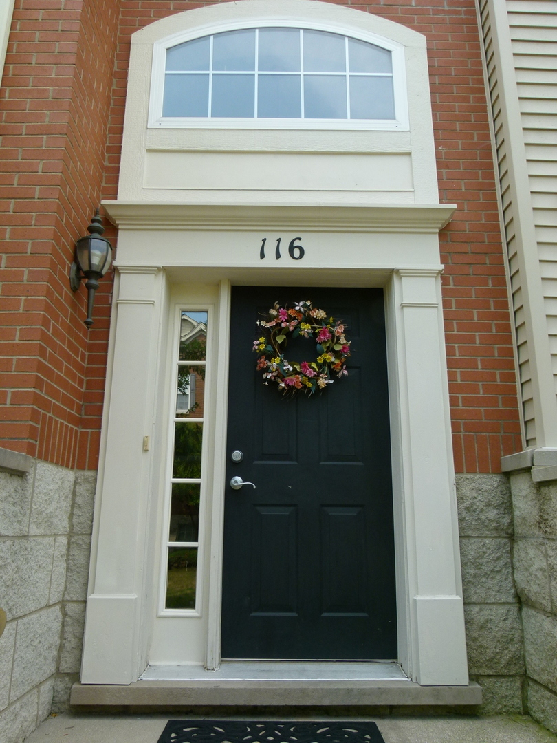 116 Jackson Street Gilberts, IL 60136 - Photo 2 of 19 a close view of fireplace