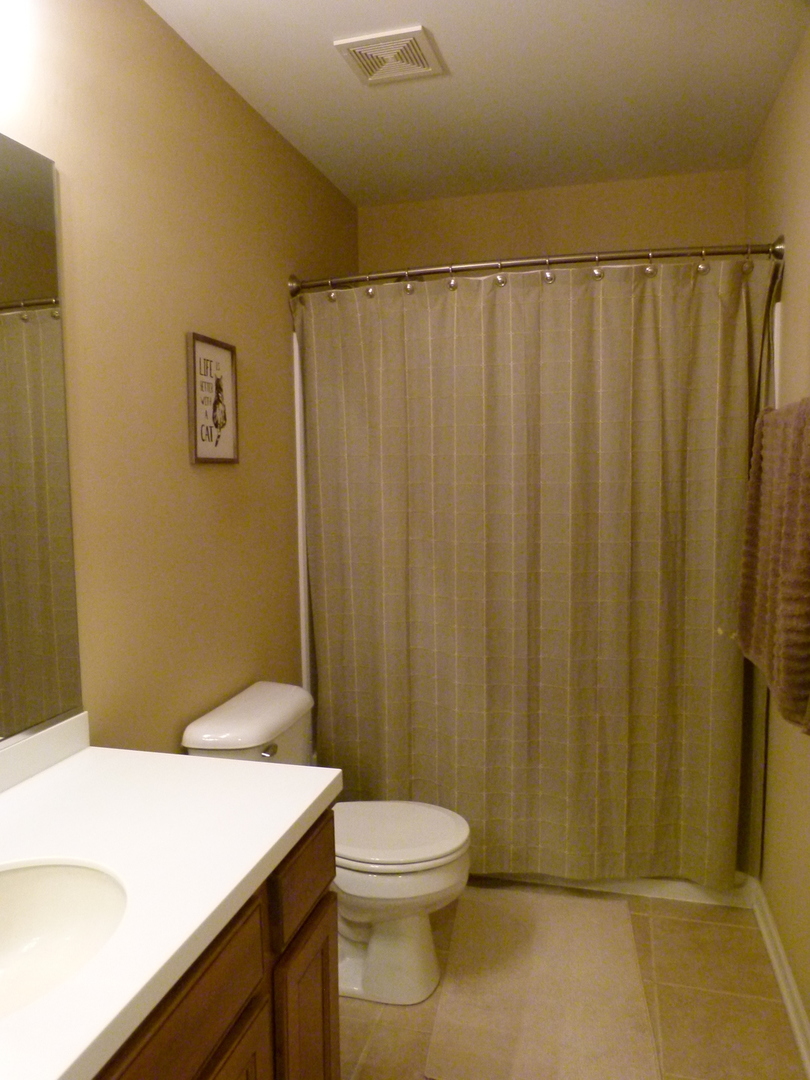 116 Jackson Street Gilberts, IL 60136 - Photo 13 of 19 a bathroom with a sink a toilet and shower