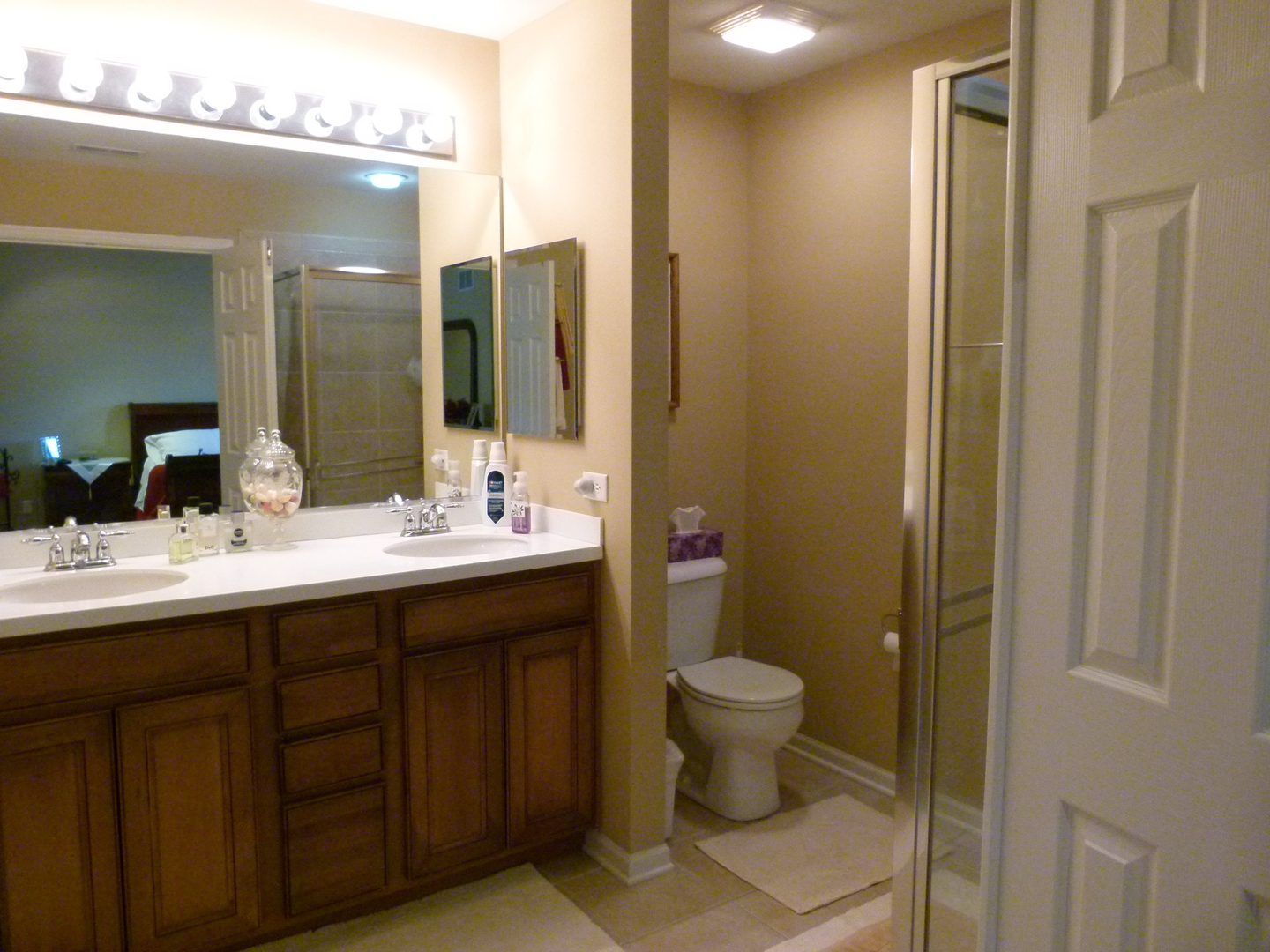 116 Jackson Street Gilberts, IL 60136 - Photo 8 of 19 a bathroom with a sink and a mirror