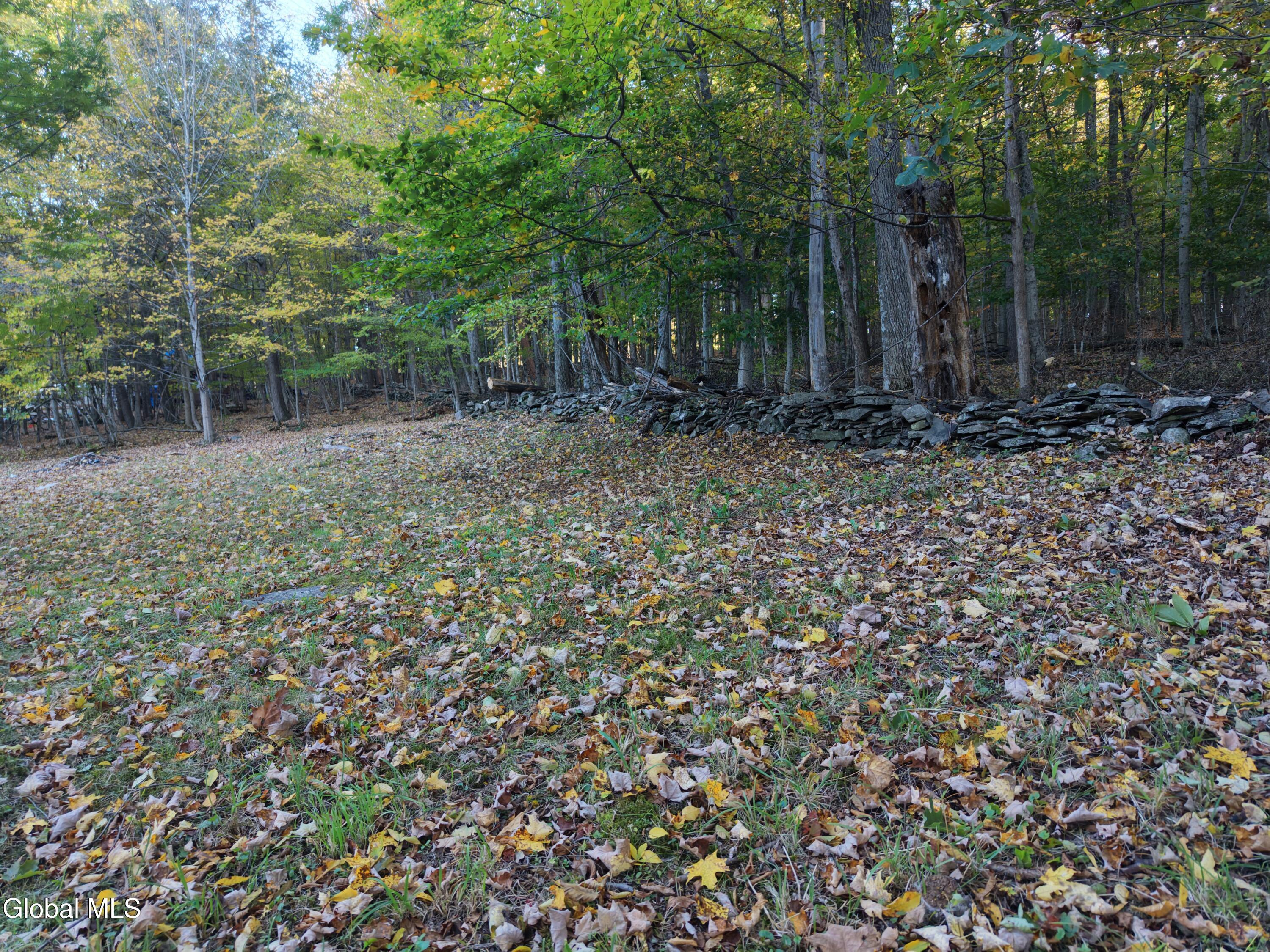 194 Enchanted Valley Road Durham, NY 12418 - Photo 28 of 45 dji_fly_20261005_170914_0426_17913078793