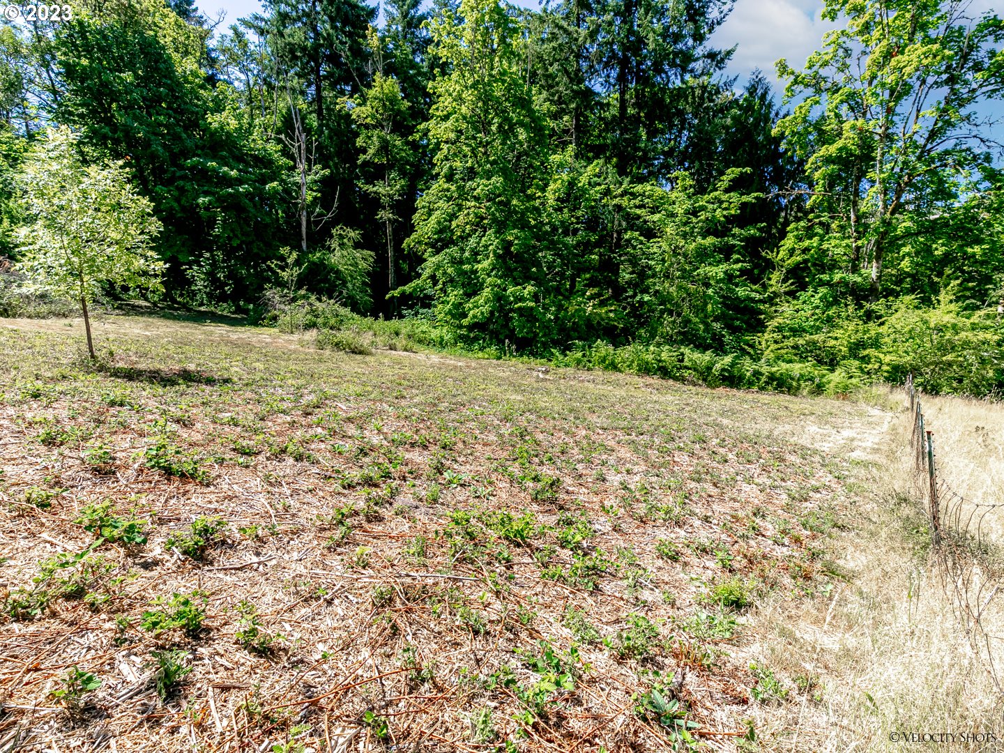 Northwest Laidlaw Road Portland, OR 97229 - Photo 6 of 24 Gallery Image 6