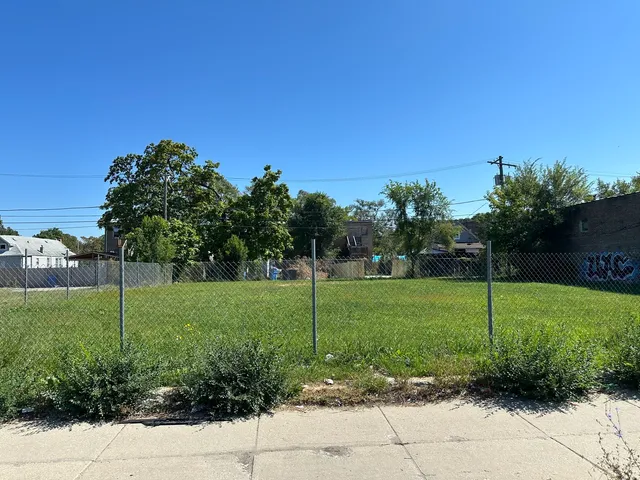 a view of a garden with a tree