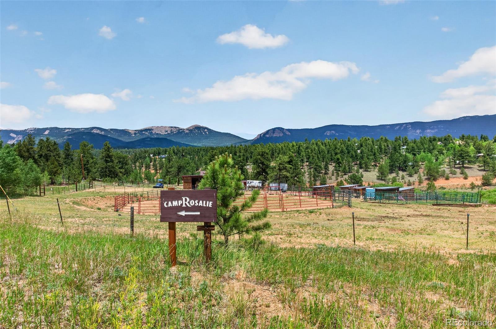 1328 Clark Road Bailey, CO 80421 - Photo 43 of 50