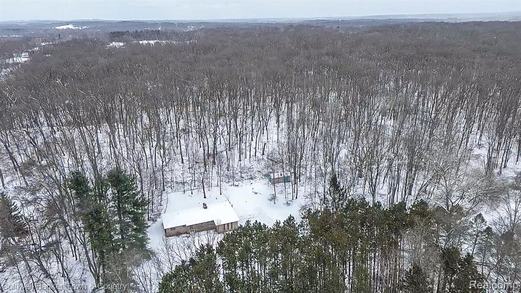 11644 Kerns Way Fenton, MI 48430 - Photo 46 of 50