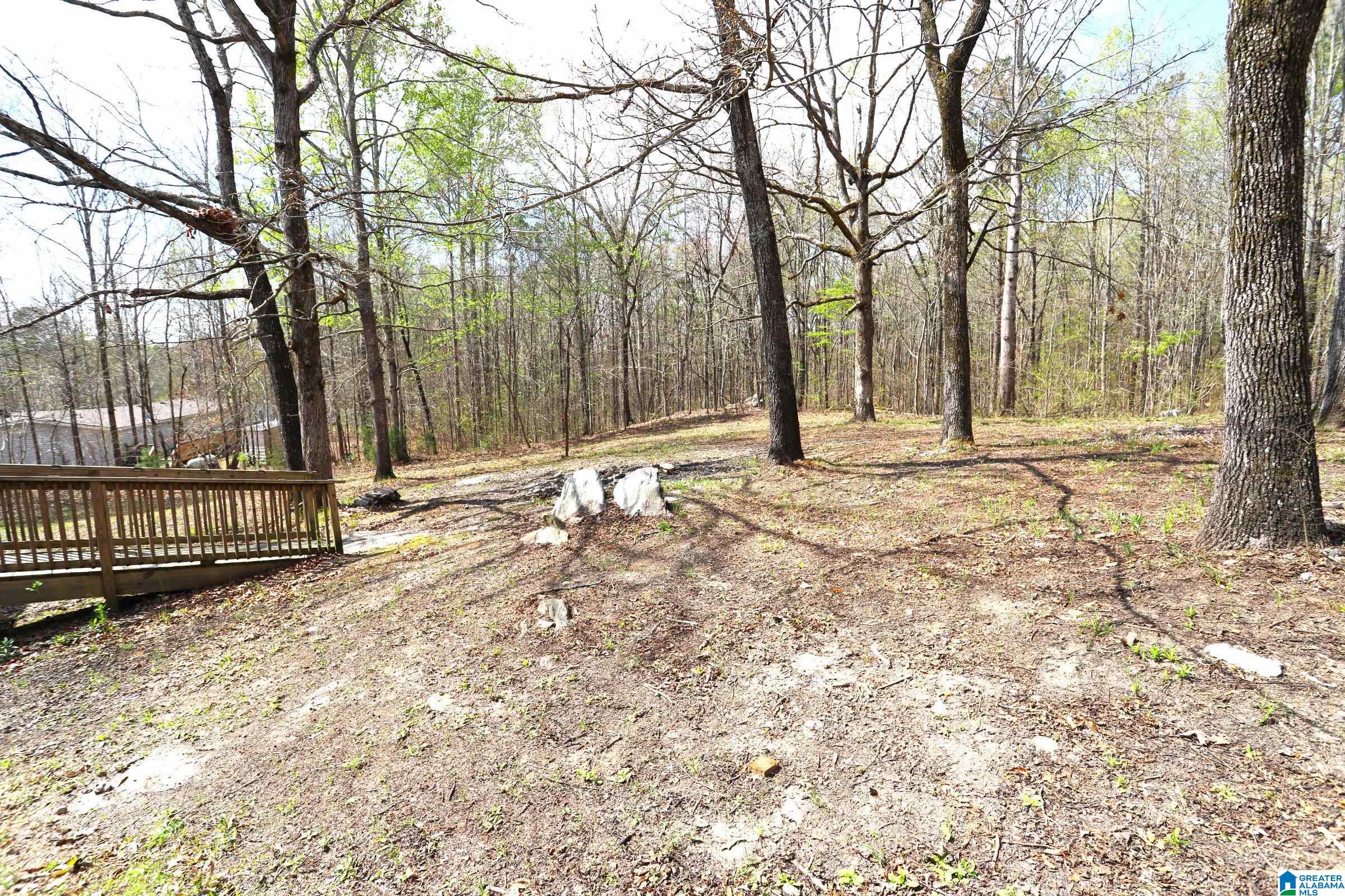 166 Rock Store Road Sylacauga, AL 35150 - Photo 6 of 41