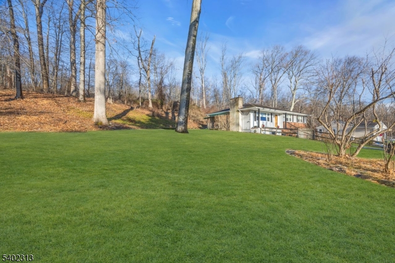 128 Old Croton Road Flemington, NJ 08822 - Photo 24 of 35 a view of yard with tree
