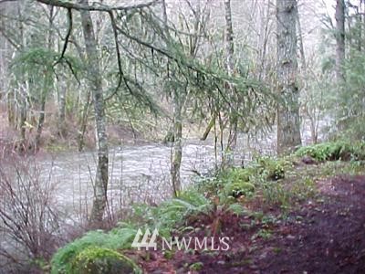 14314 Vail Cut Off Road Southeast Rainier, WA 98576 - Photo 1 of 1 Gallery Image 1