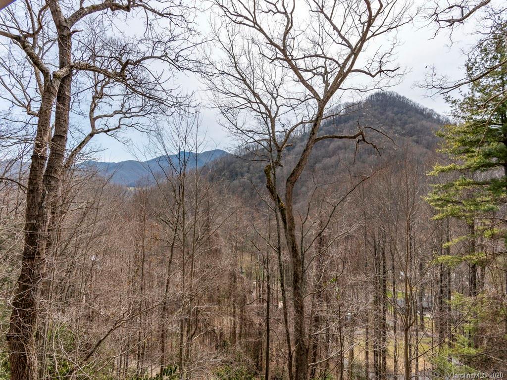 180 Little Mountain Road Maggie Valley, NC 28751 - Photo 17 of 20 Gallery Image 17