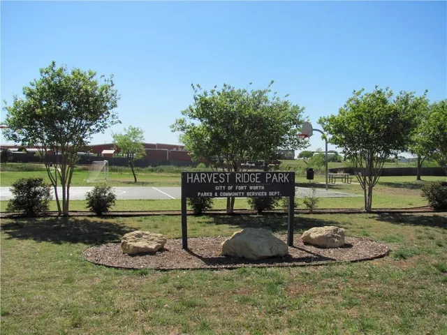 a park view with a bench and trees