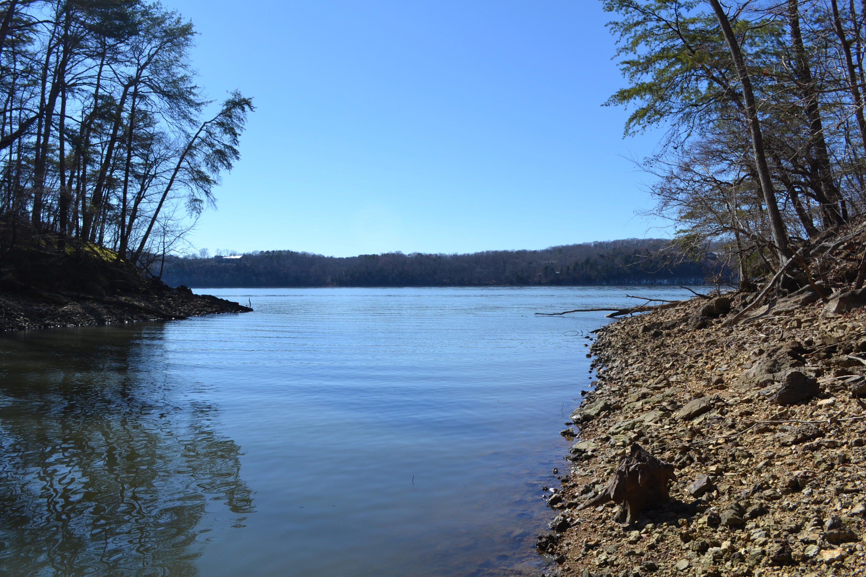 527-ac Eldridge Road Harrison, TN 37341 - Photo 11 of 24 58