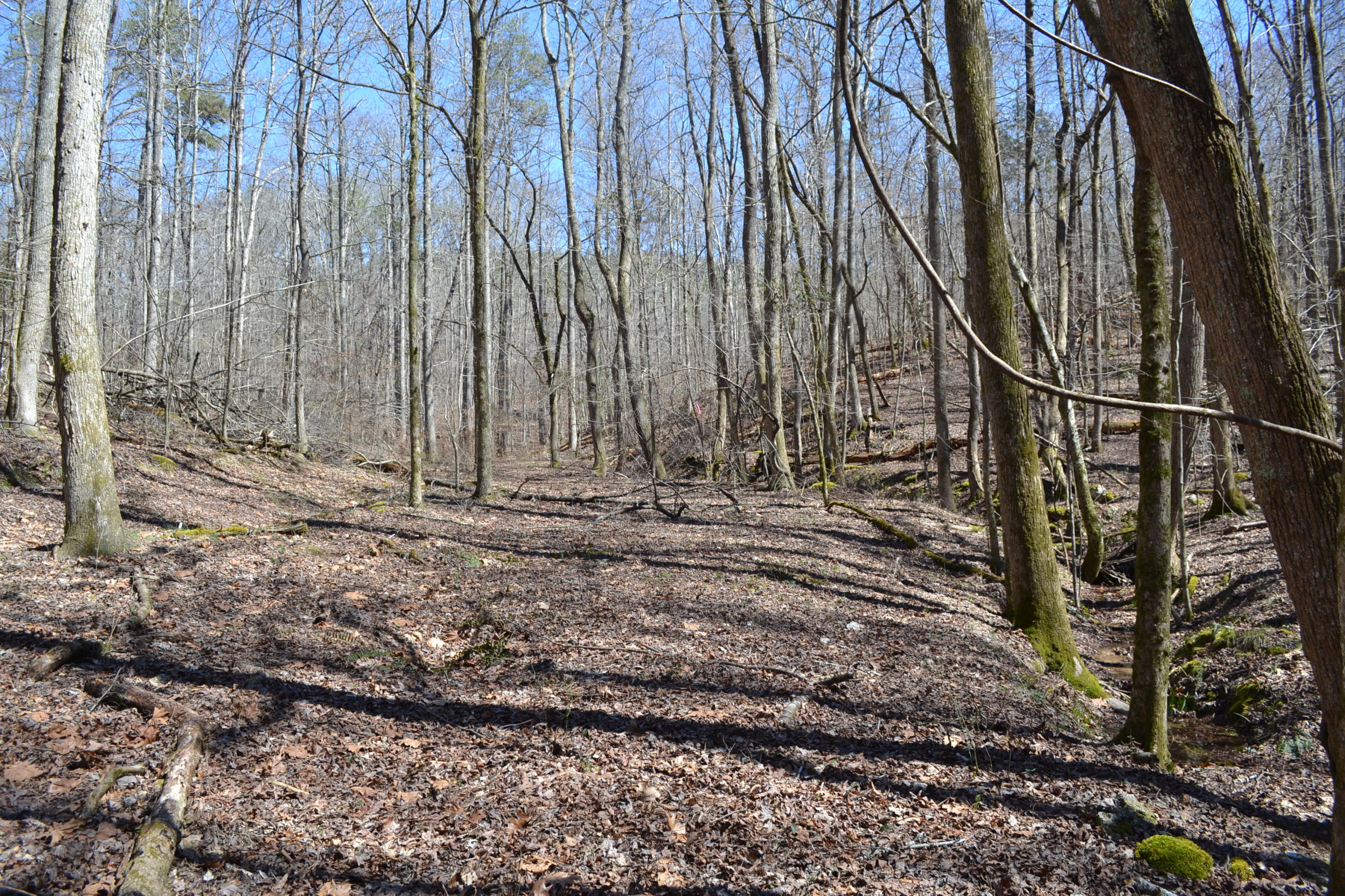 527-ac Eldridge Road Harrison, TN 37341 - Photo 13 of 24 35