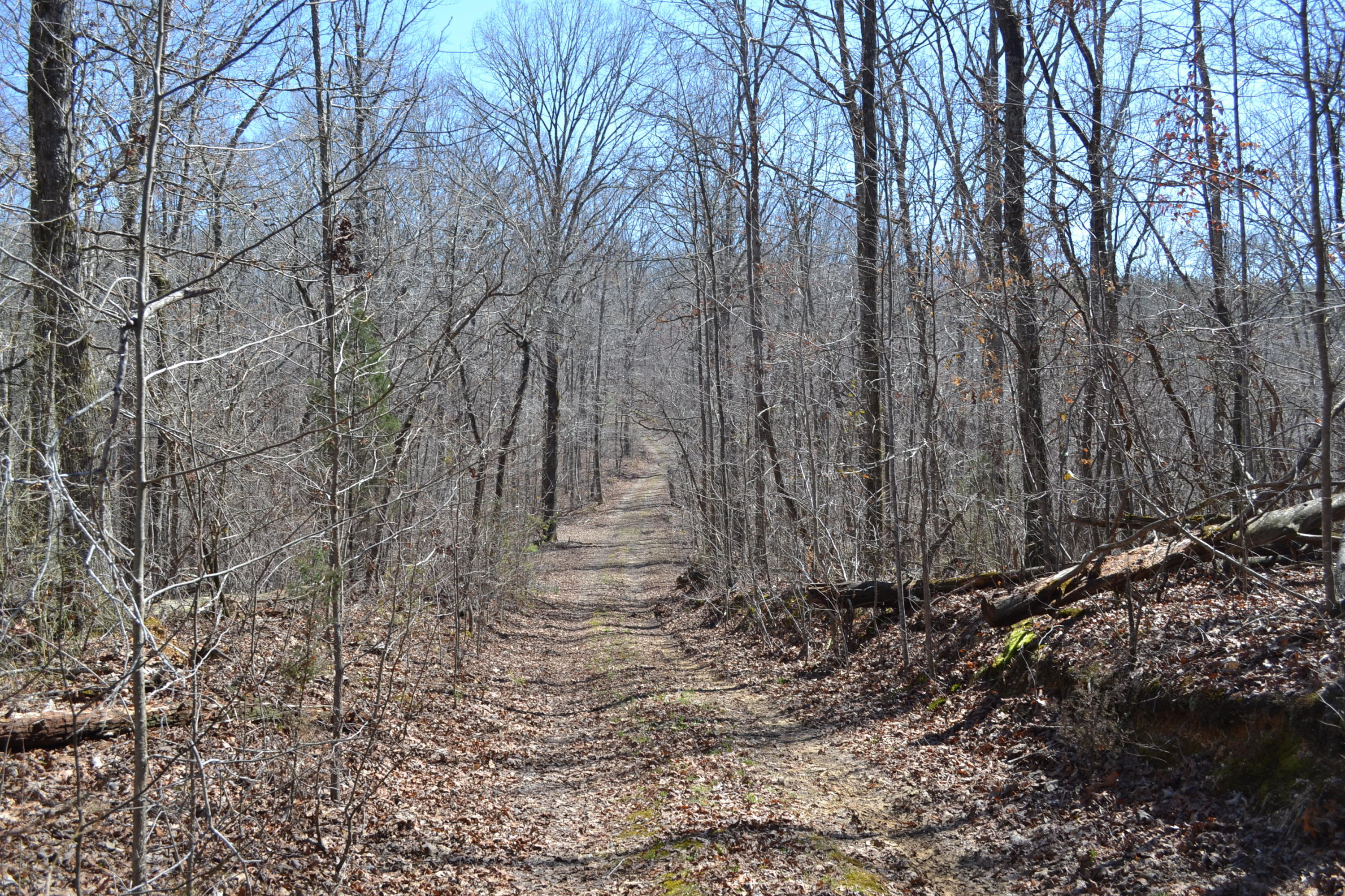 527-ac Eldridge Road Harrison, TN 37341 - Photo 15 of 24 43