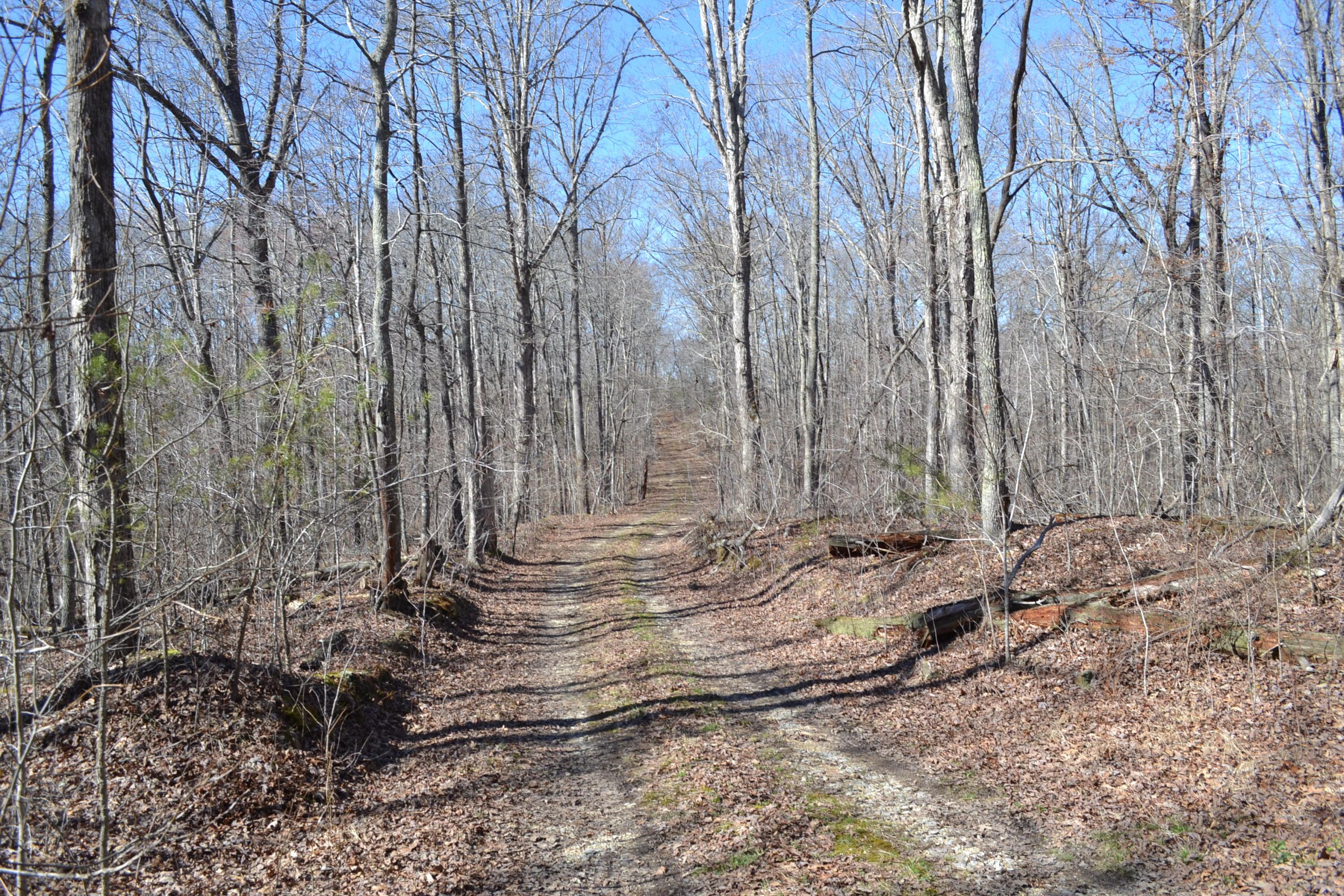 527-ac Eldridge Road Harrison, TN 37341 - Photo 20 of 24 57