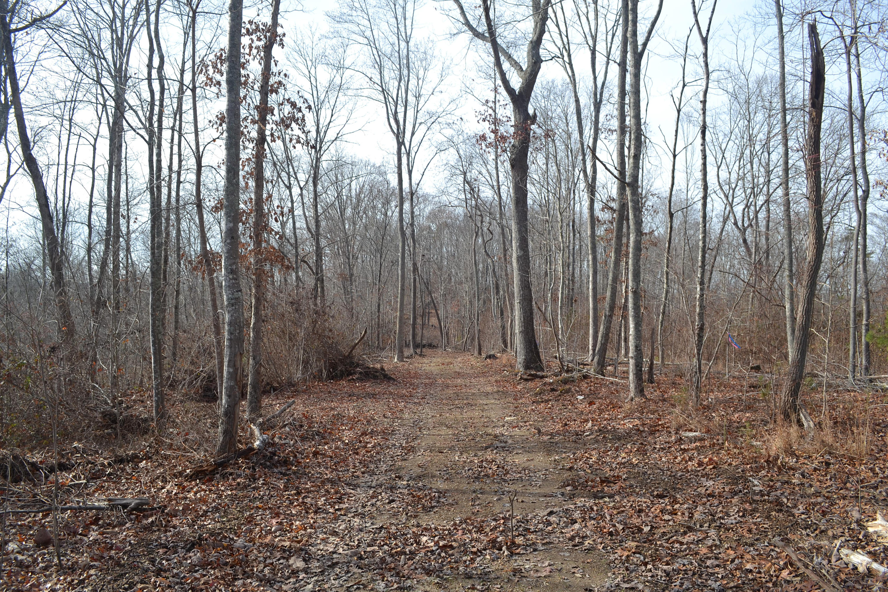 527-ac Eldridge Road Harrison, TN 37341 - Photo 21 of 24 Hon 224 ac_2384Hon 224 ac