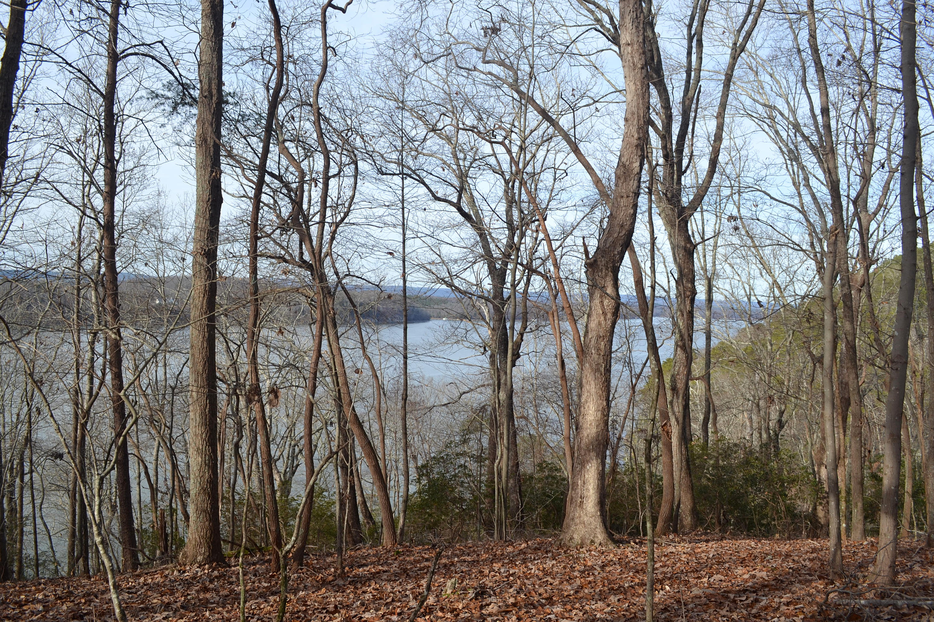 527-ac Eldridge Road Harrison, TN 37341 - Photo 22 of 24 Hon 224 ac_2385Hon 224 ac