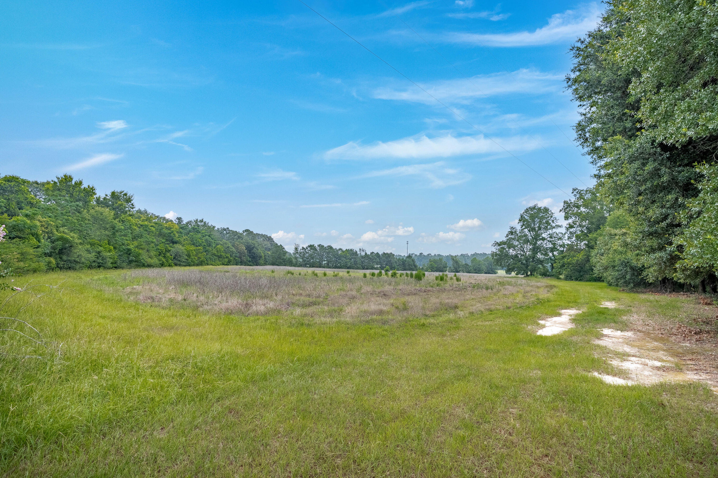 242 Hammond Road Beech Island, SC 29842 - Photo 13 of 68