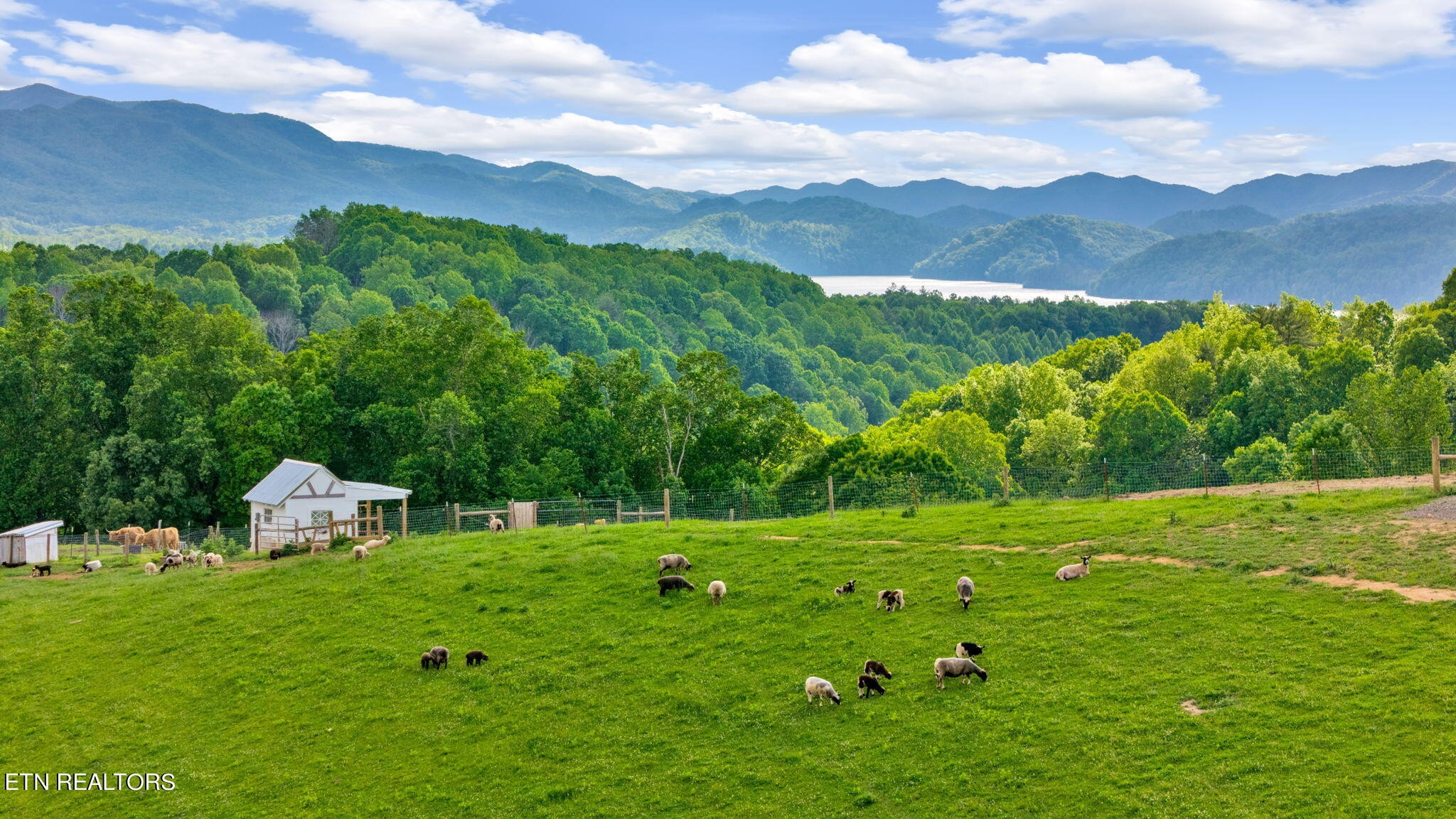 636 Dry Hill Road Butler, TN 37640 - Photo 7 of 51 Gallery Image 7