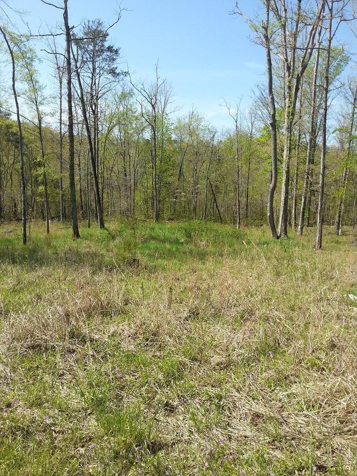 6 Matthew Meece Road Somerset, KY 42501 - Photo 3 of 3 Additional Photo