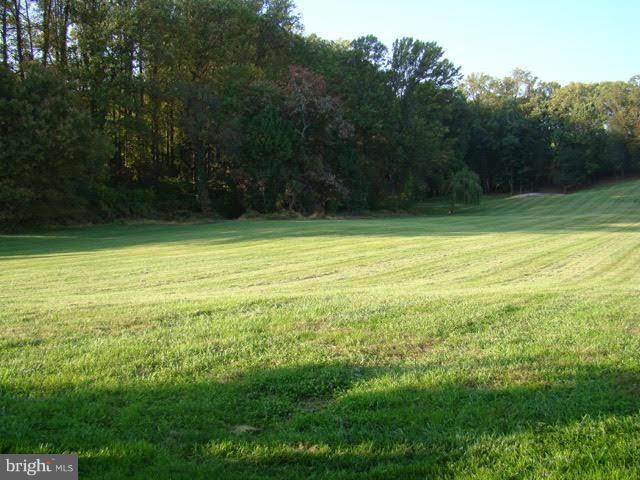 225 Christopher Road Forest Hill, MD 21050 - Photo 10 of 30 Rear yard