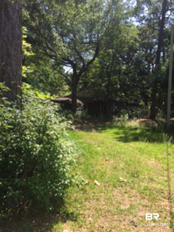21191 Blueberry Lane Fairhope, AL 36532 - Photo 6 of 6