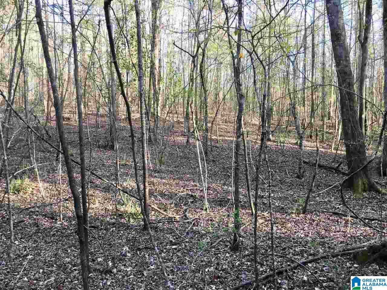 0 6th Street Alexander City, AL 35010 - Photo 11 of 13