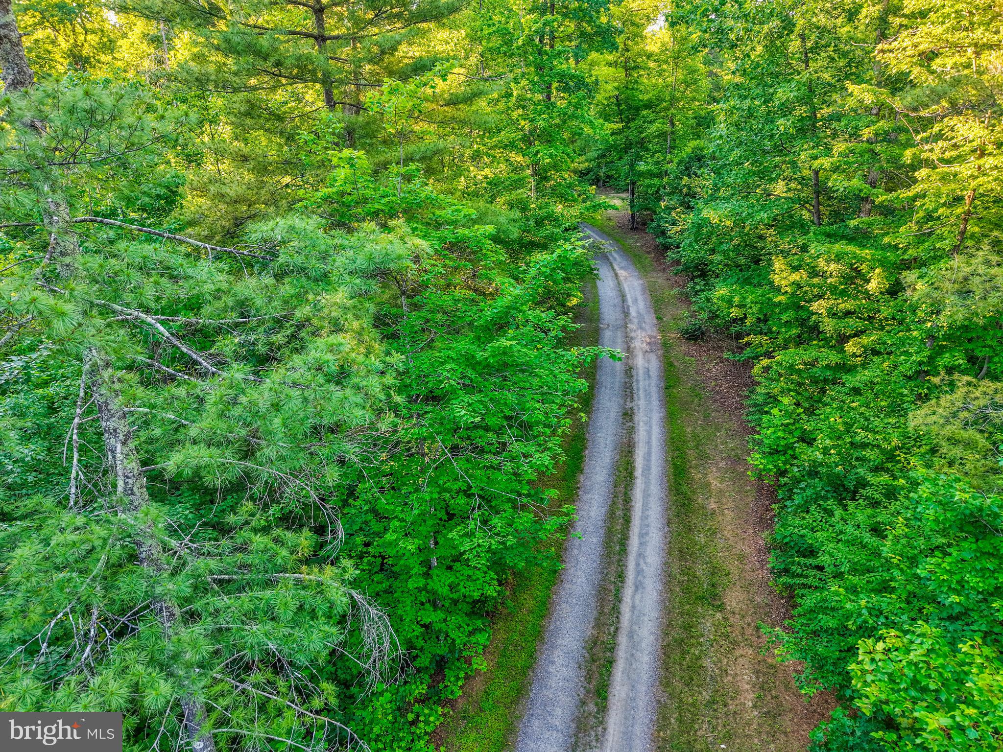 Lot 27-66b Kovi Ridge Trail Reva, VA 22735 - Photo 2 of 20