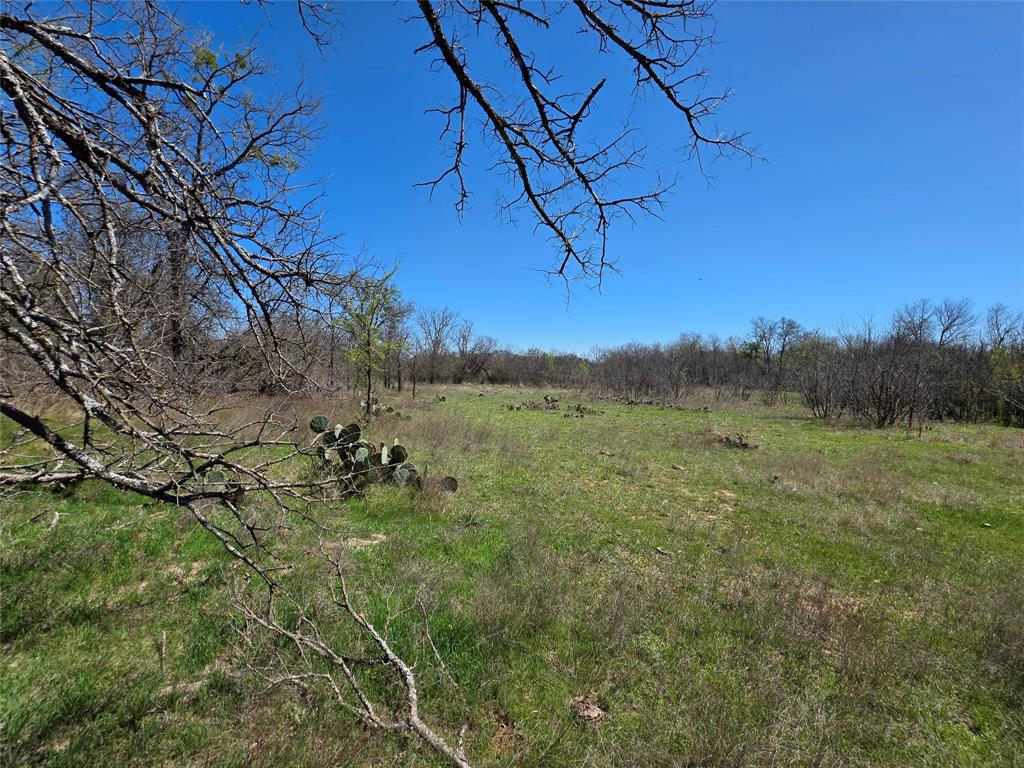 309 Highway 36 Gustine, TX 76455 - Photo 18 of 36 a view of a yard in a field