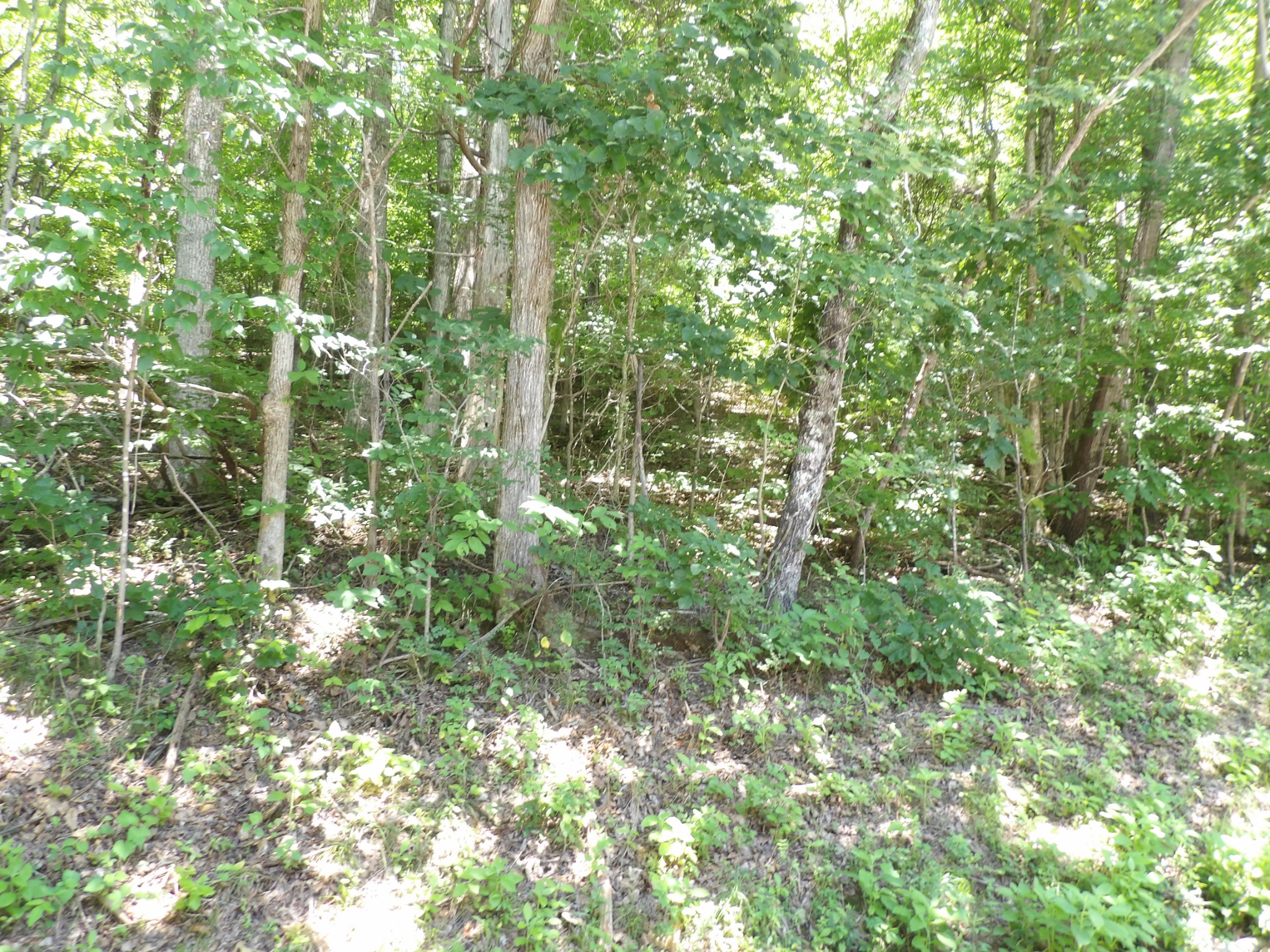 587 West Little Richland Road Waverly, TN 37185 - Photo 20 of 26
