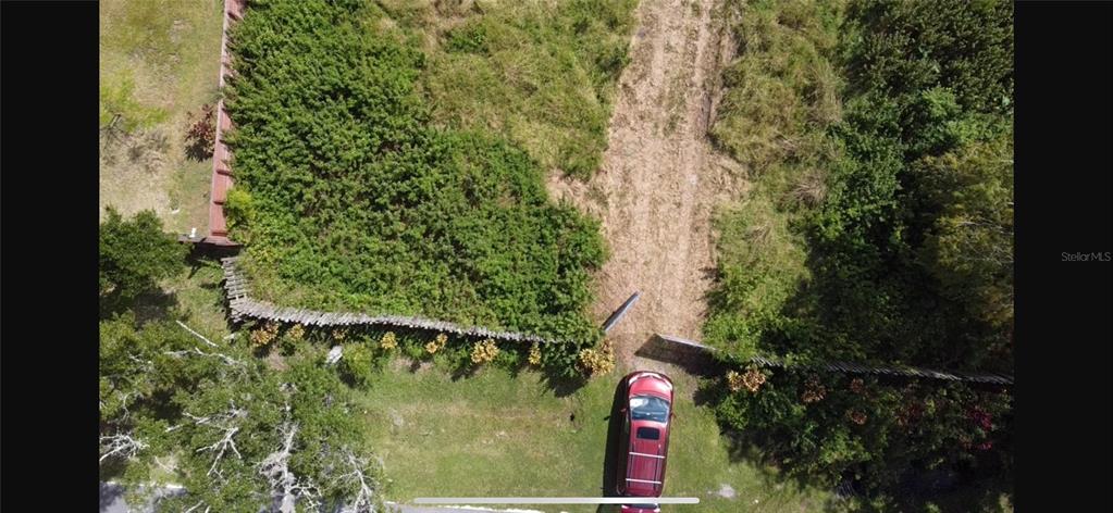 805 Baron Road Orlando, FL 32828 - Photo 11 of 11 a close up of a plant in a garden