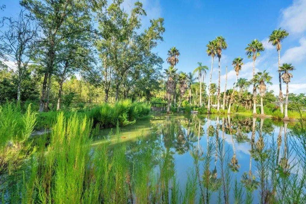 805 Baron Road Orlando, FL 32828 - Photo 6 of 11