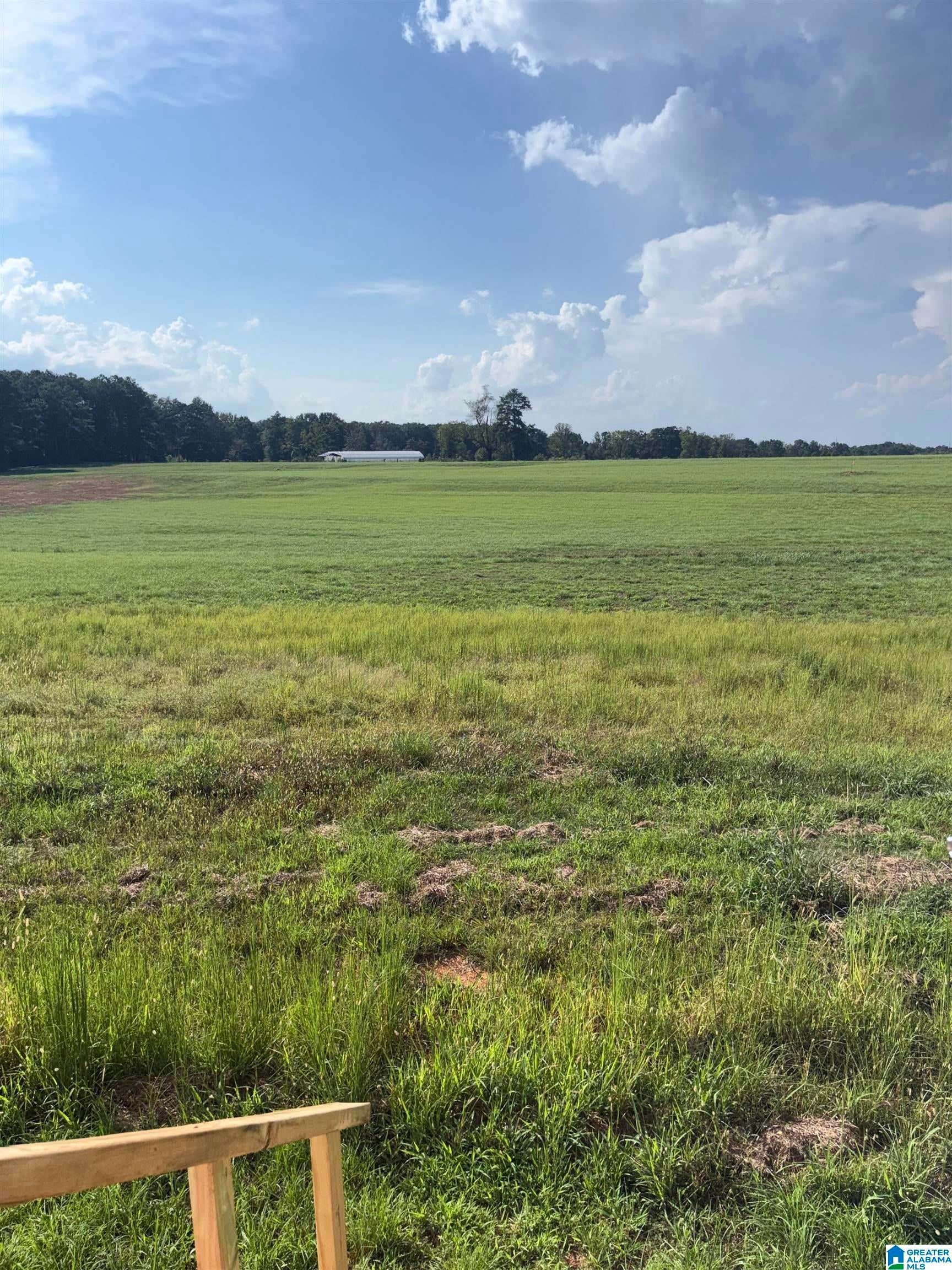 2923 Corner Road Warrior, AL 35180 - Photo 18 of 23 Gallery Image 18