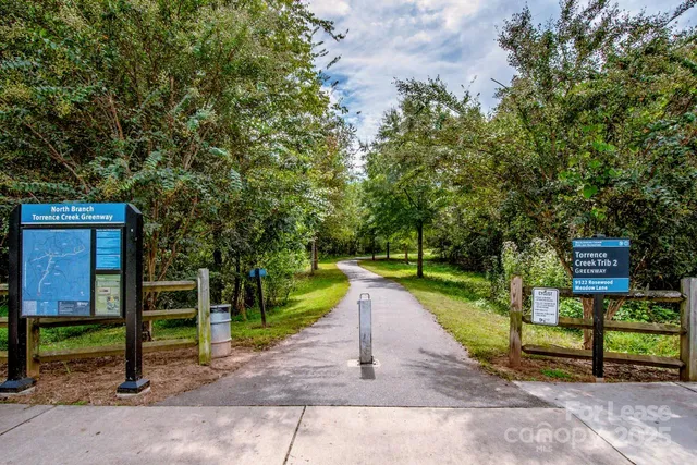 a view of a park with large trees