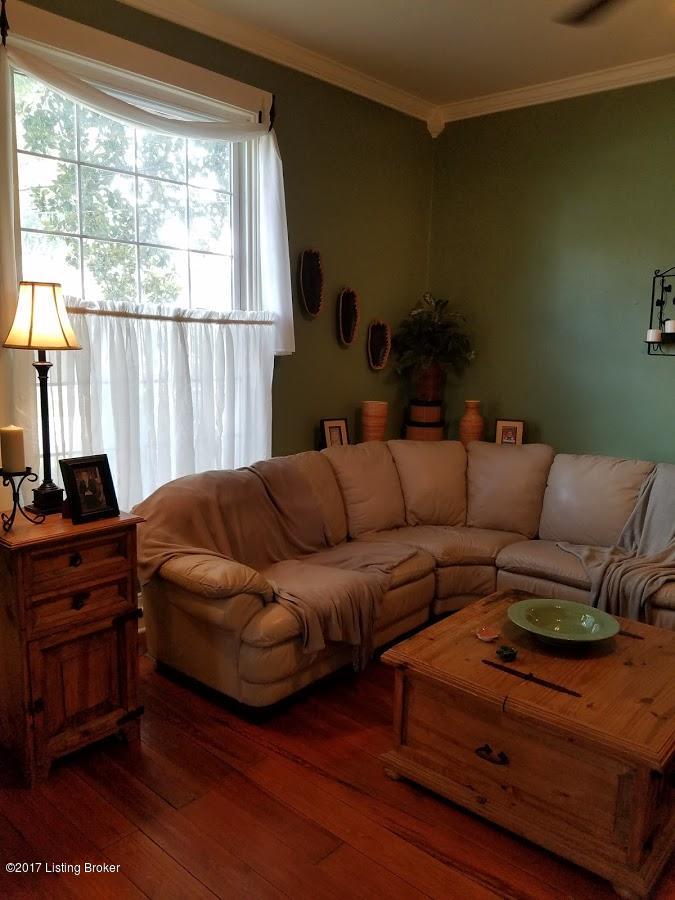 Living room-loads of natural light