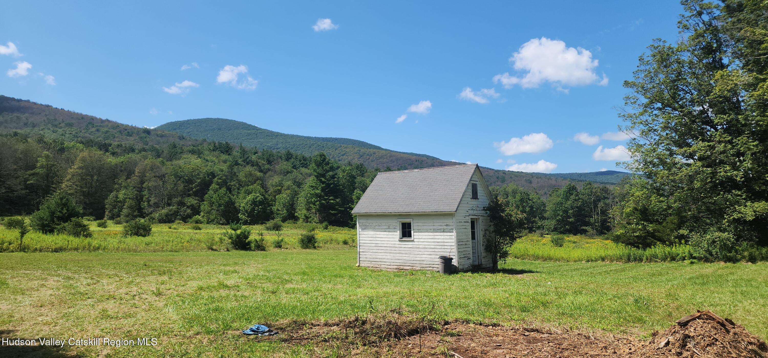 170 Spruceton Road West Kill, NY 12492 - Photo 7 of 33 shed