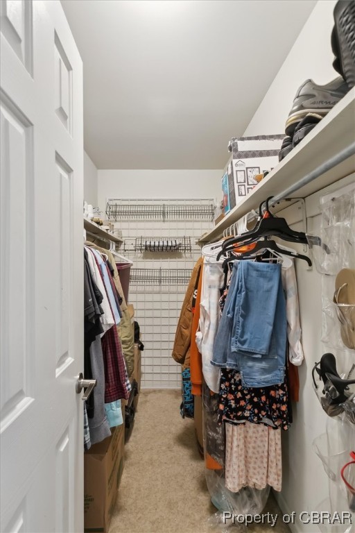 127 Low Ridge Road Williamsburg, VA 23185 - Photo 22 of 35 Walk in closet with carpet floors