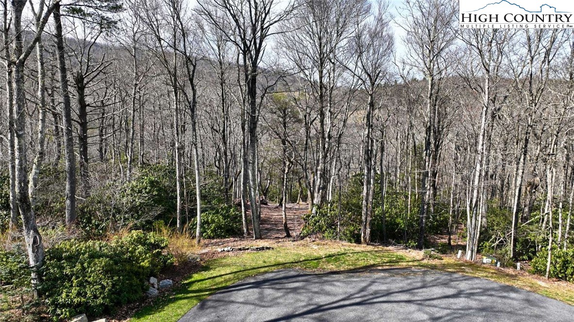 O West Indrio Road Blowing Rock, NC 28605 - Photo 1 of 7 Gallery Image 1