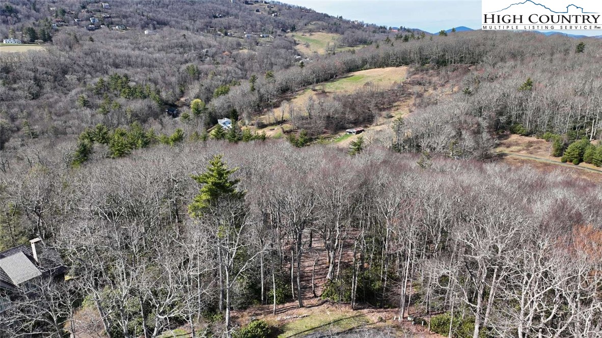 O West Indrio Road Blowing Rock, NC 28605 - Photo 3 of 7 Gallery Image 3