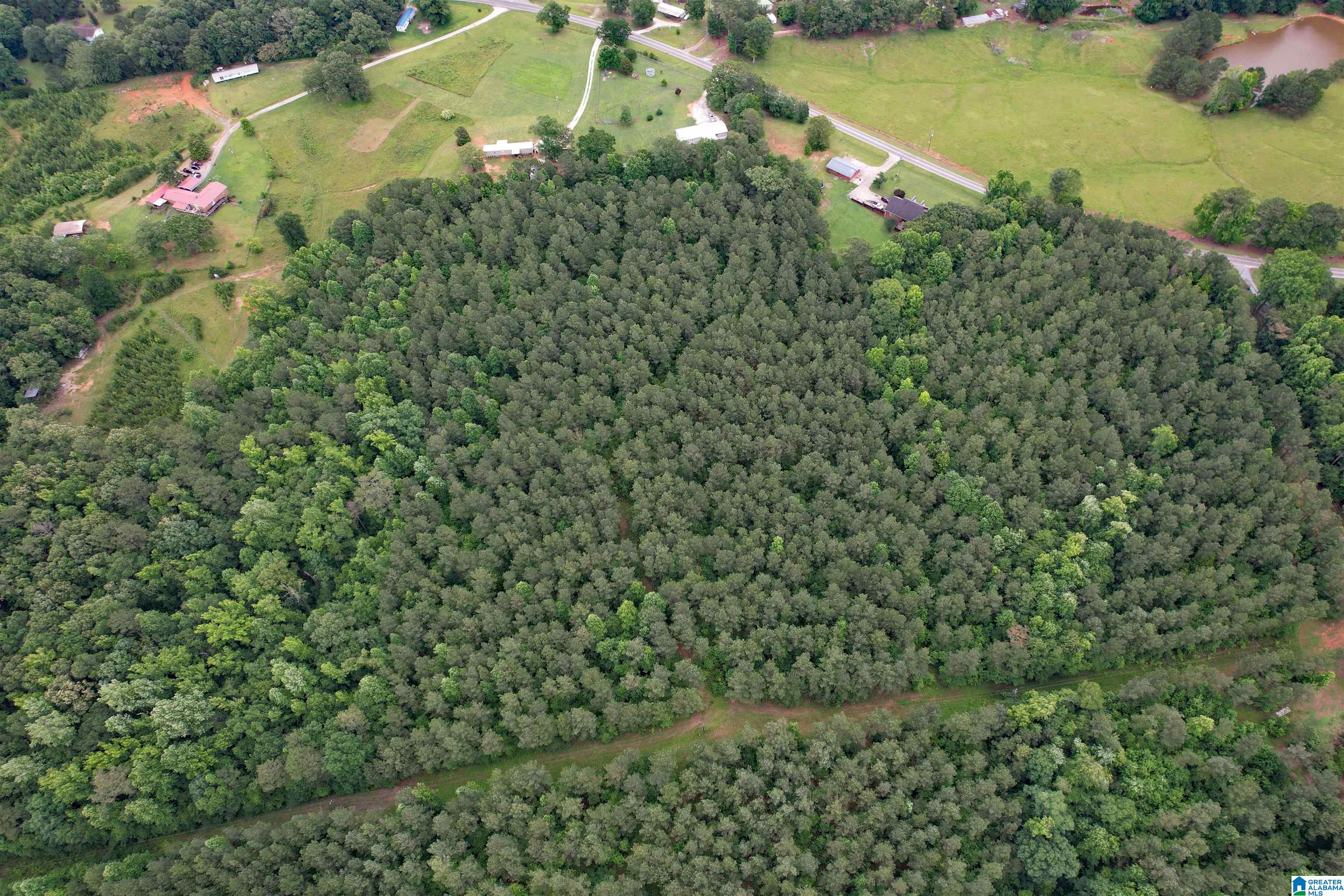 0 Houston Road Sylacauga, AL 35151 - Photo 21 of 32