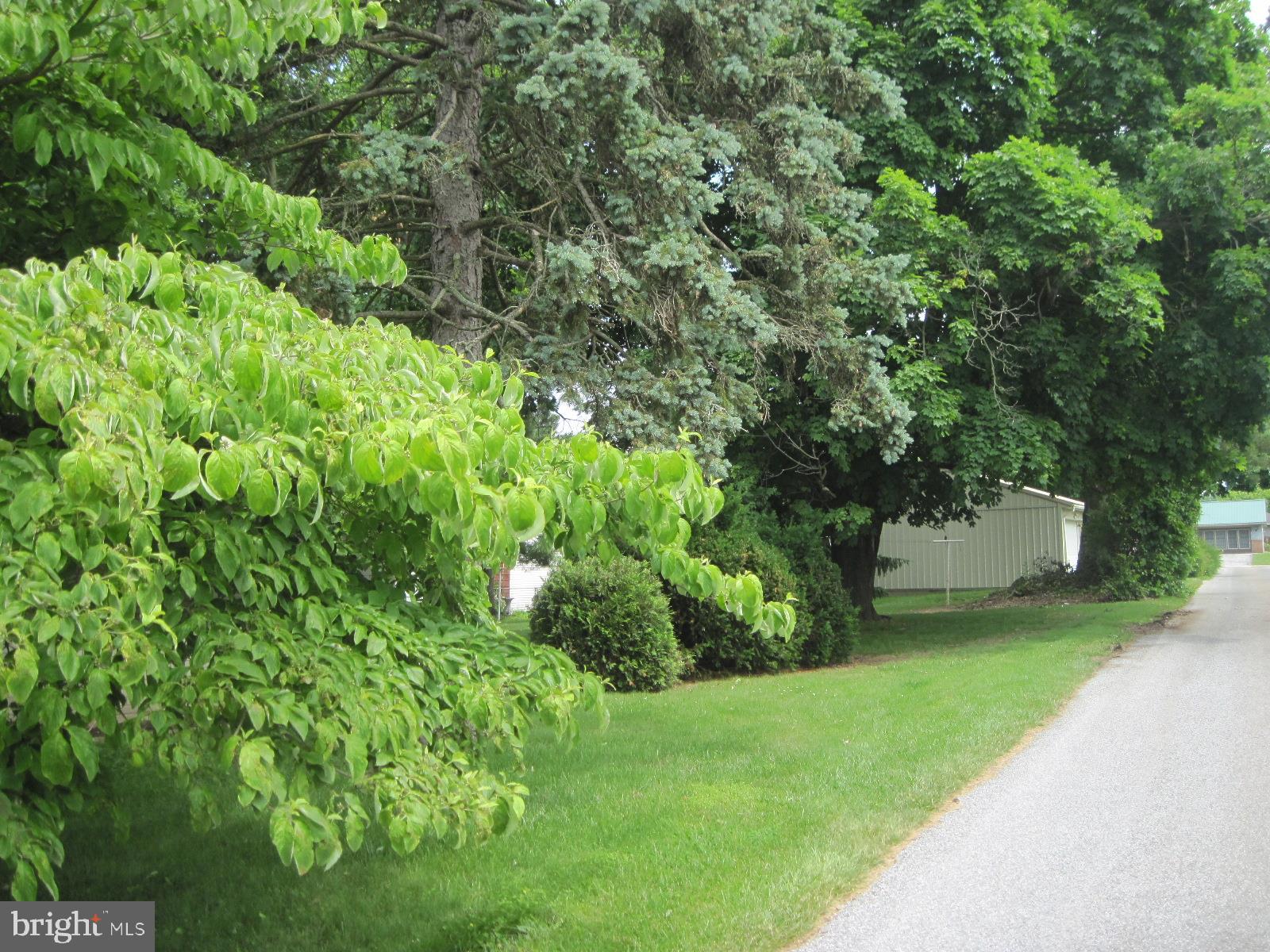 5 Willow Run Road Dover, PA 17315 - Photo 26 of 33 alley alongside property