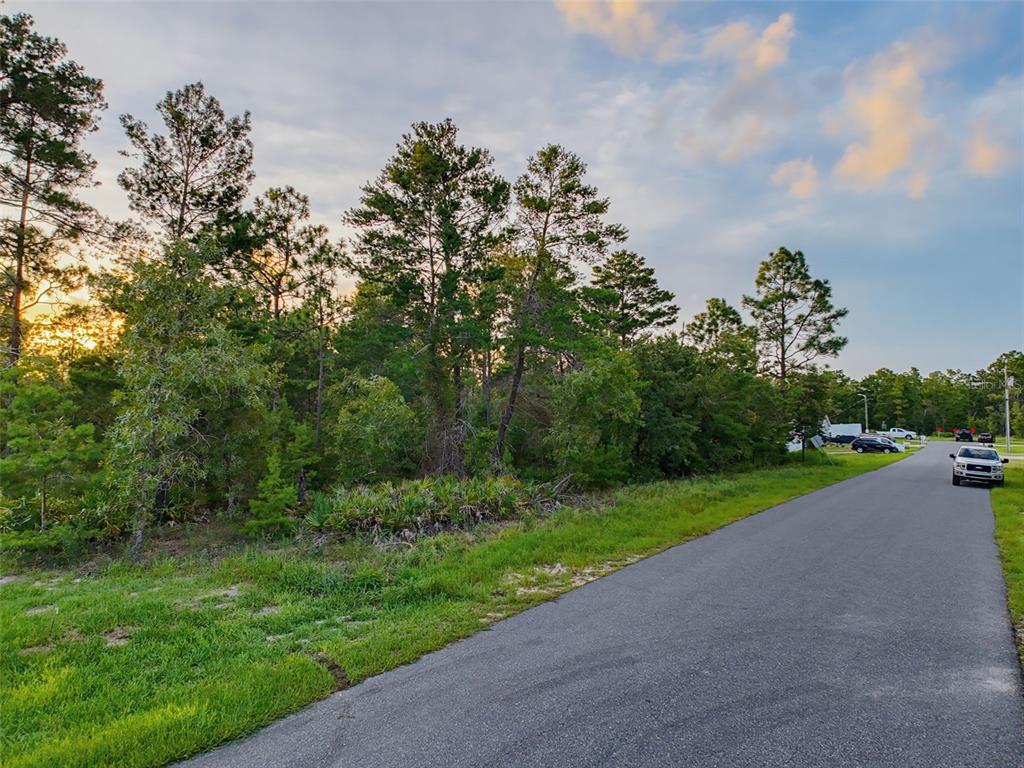 18367 Maberly Road Weeki Wachee, FL 34614 - Photo 5 of 12 Gallery Image 5