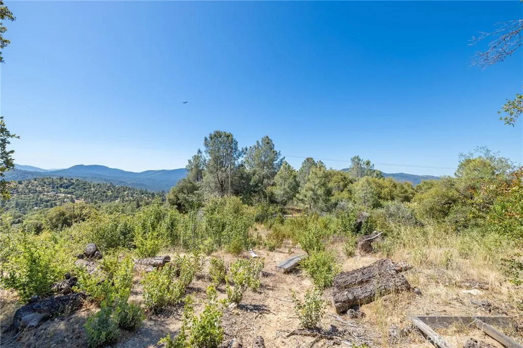 49 Old Yosemite Road Oakhurst, CA 93644 - Photo 6 of 41