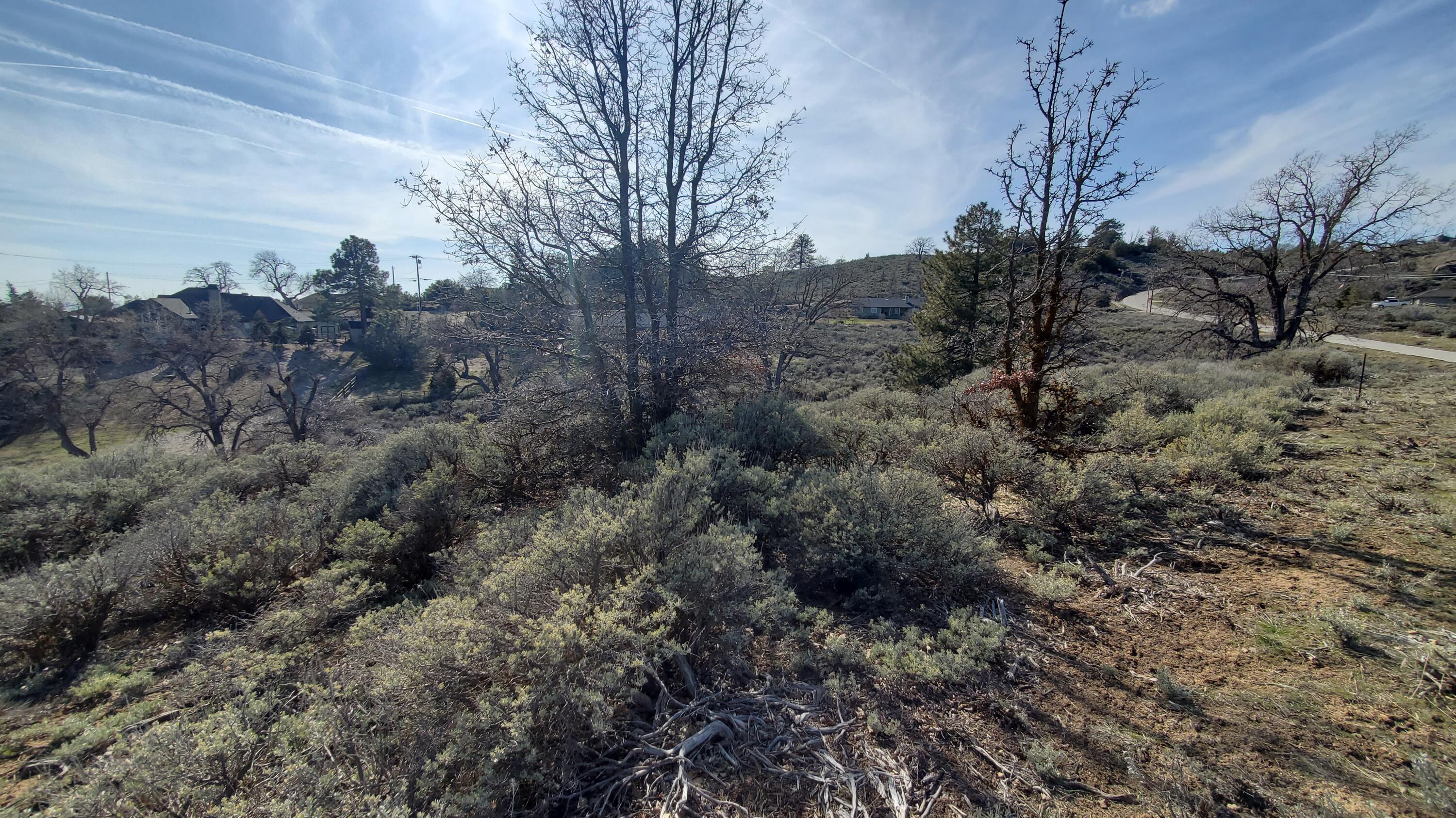 25041 Jacaranda Drive Tehachapi, CA 93561 - Photo 16 of 30 20230405_162209