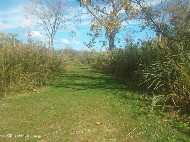a view of a yard with an trees