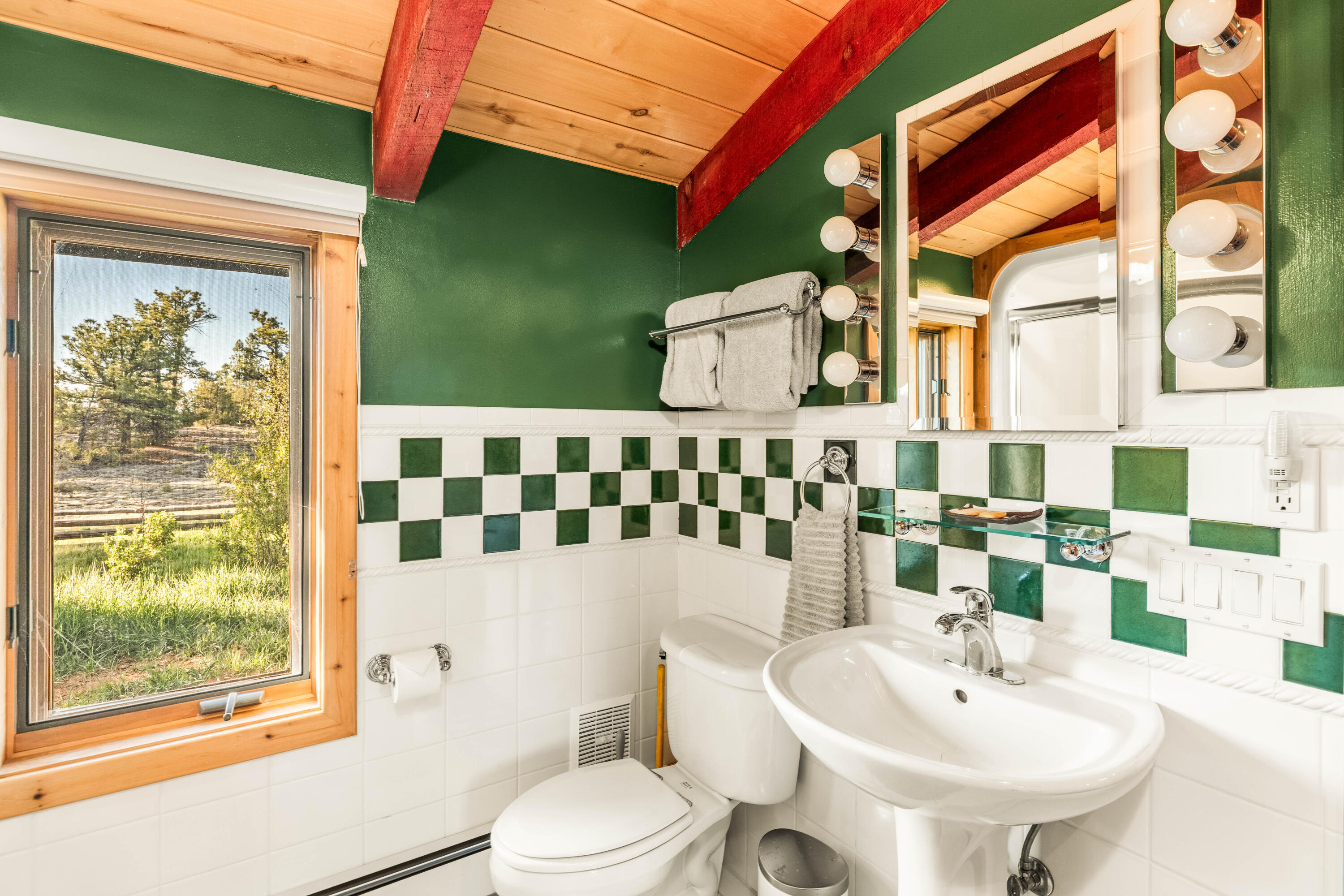 747 County Rd V44 Norwood, CO 81423 - Photo 17 of 45 Guest Bath