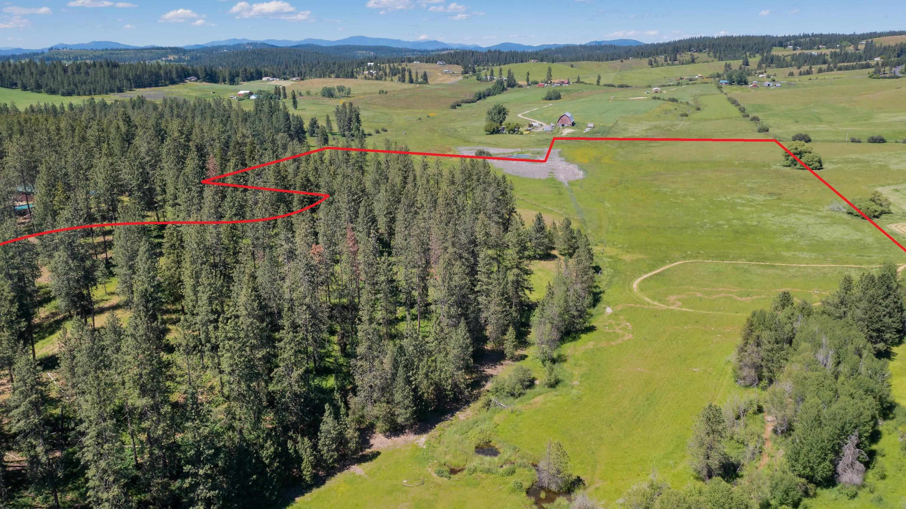 11611 East Black Road Chattaroy, WA 99003 - Photo 11 of 15 Gallery Image 11