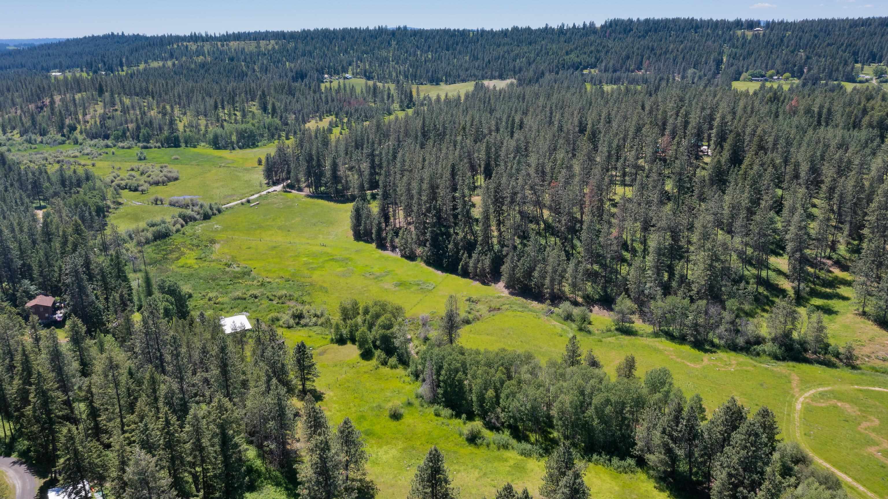 11611 East Black Road Chattaroy, WA 99003 - Photo 15 of 15 Gallery Image 15