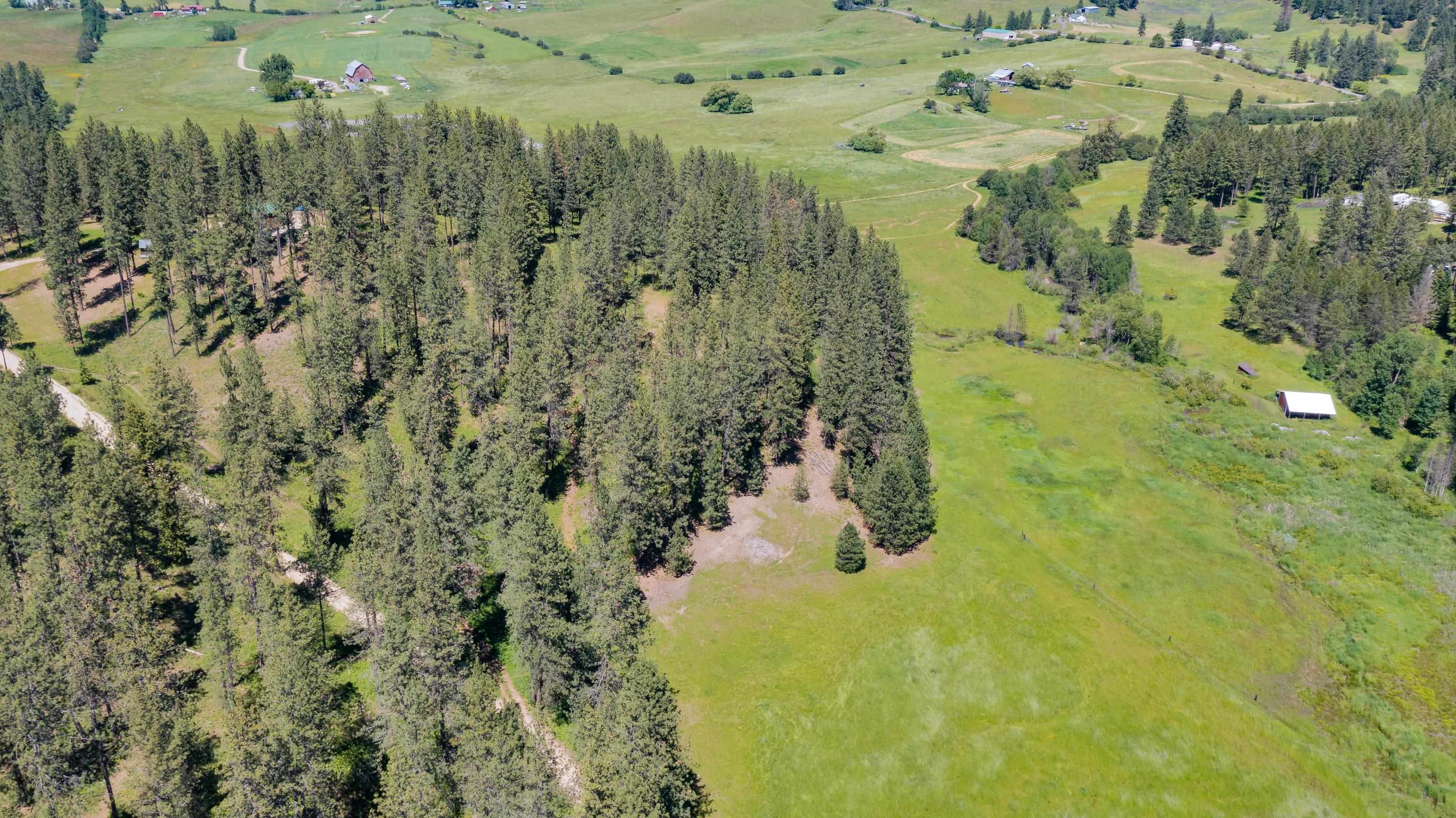 11611 East Black Road Chattaroy, WA 99003 - Photo 6 of 15 Gallery Image 6