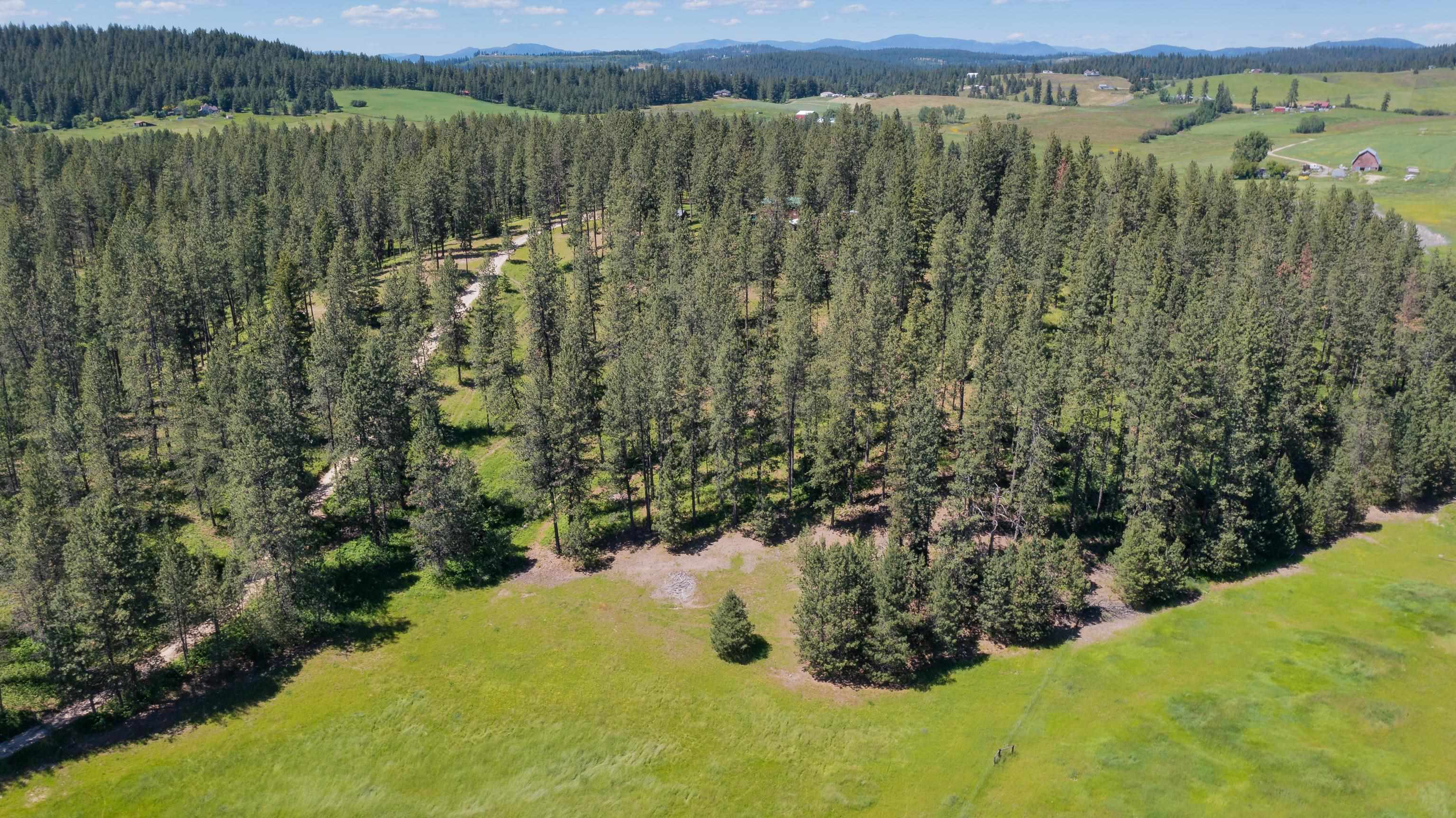 11611 East Black Road Chattaroy, WA 99003 - Photo 7 of 15 Gallery Image 7
