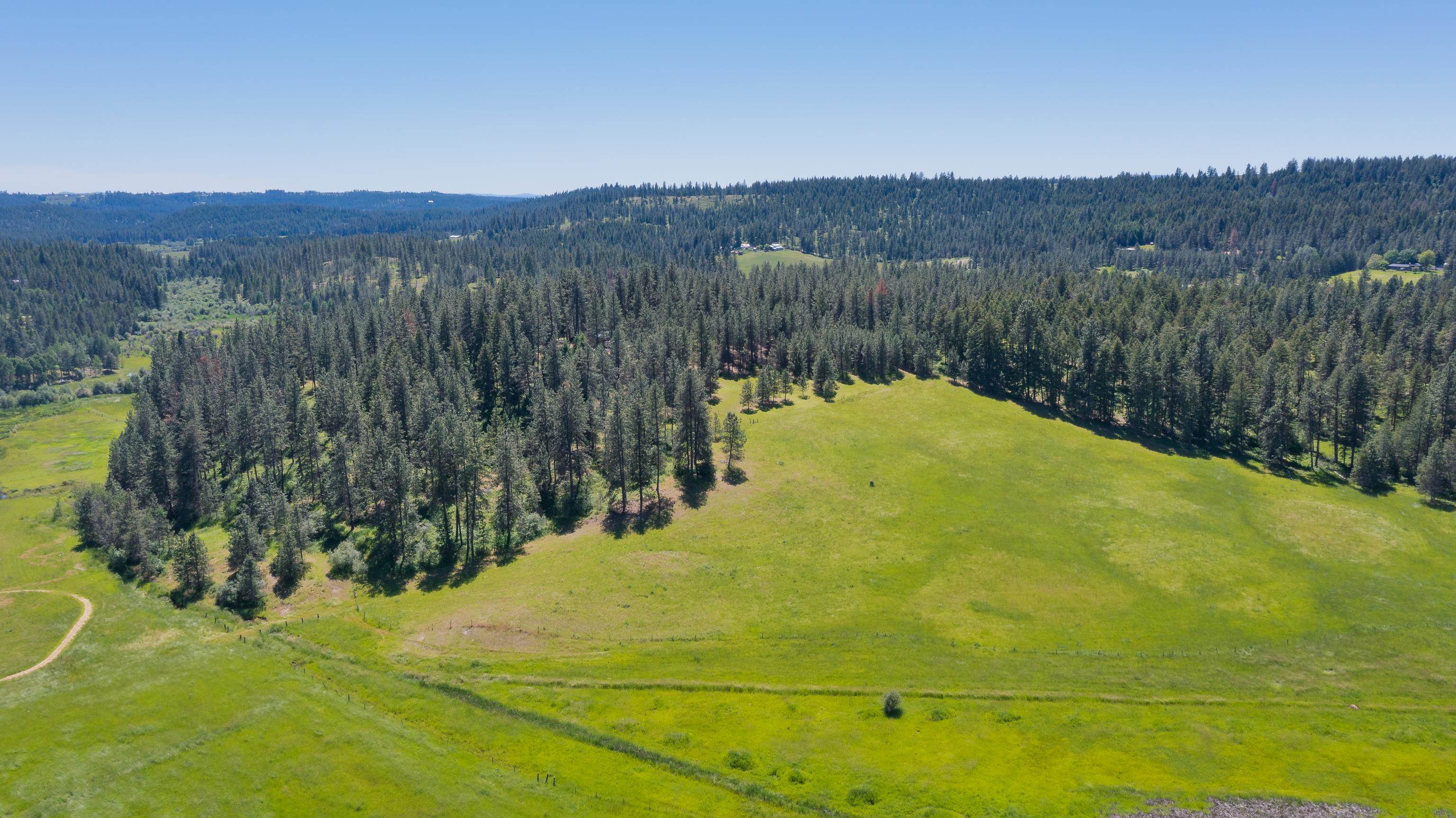 11611 East Black Road Chattaroy, WA 99003 - Photo 10 of 15 Gallery Image 10